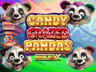 Candy Crazed Pandas DoubleMax screenshot